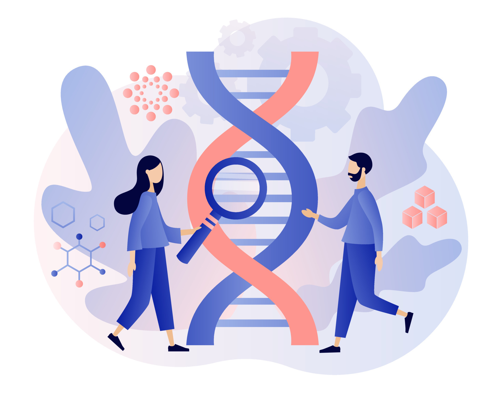 DNA twisted in a double helix form